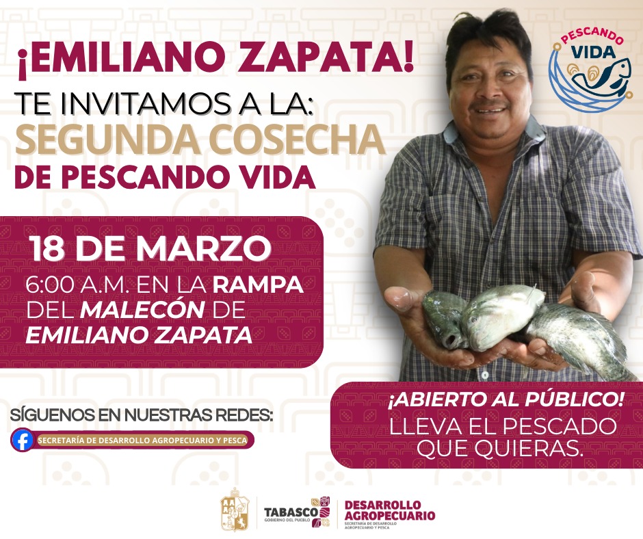 Del agua a tu mesa: llega a Emiliano Zapata la segunda cosecha de “Pescando Vida” con el apoyo del Gobierno del Estado.