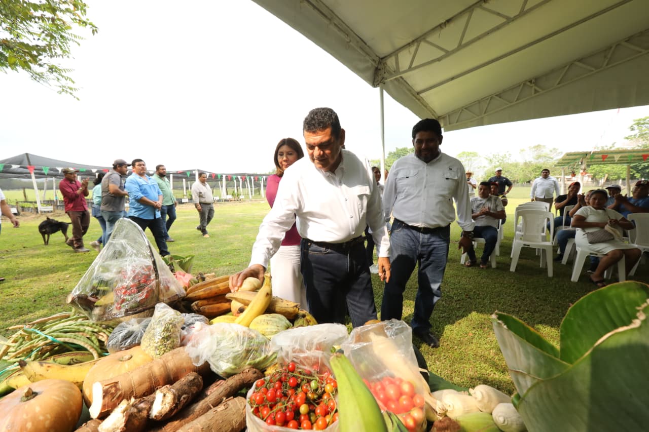 Sembrando Vida también cuida medio ambiente y fomenta alimentación sana, afirma Javier May en visita a viveros del poblado C-41, en Huimanguillo.