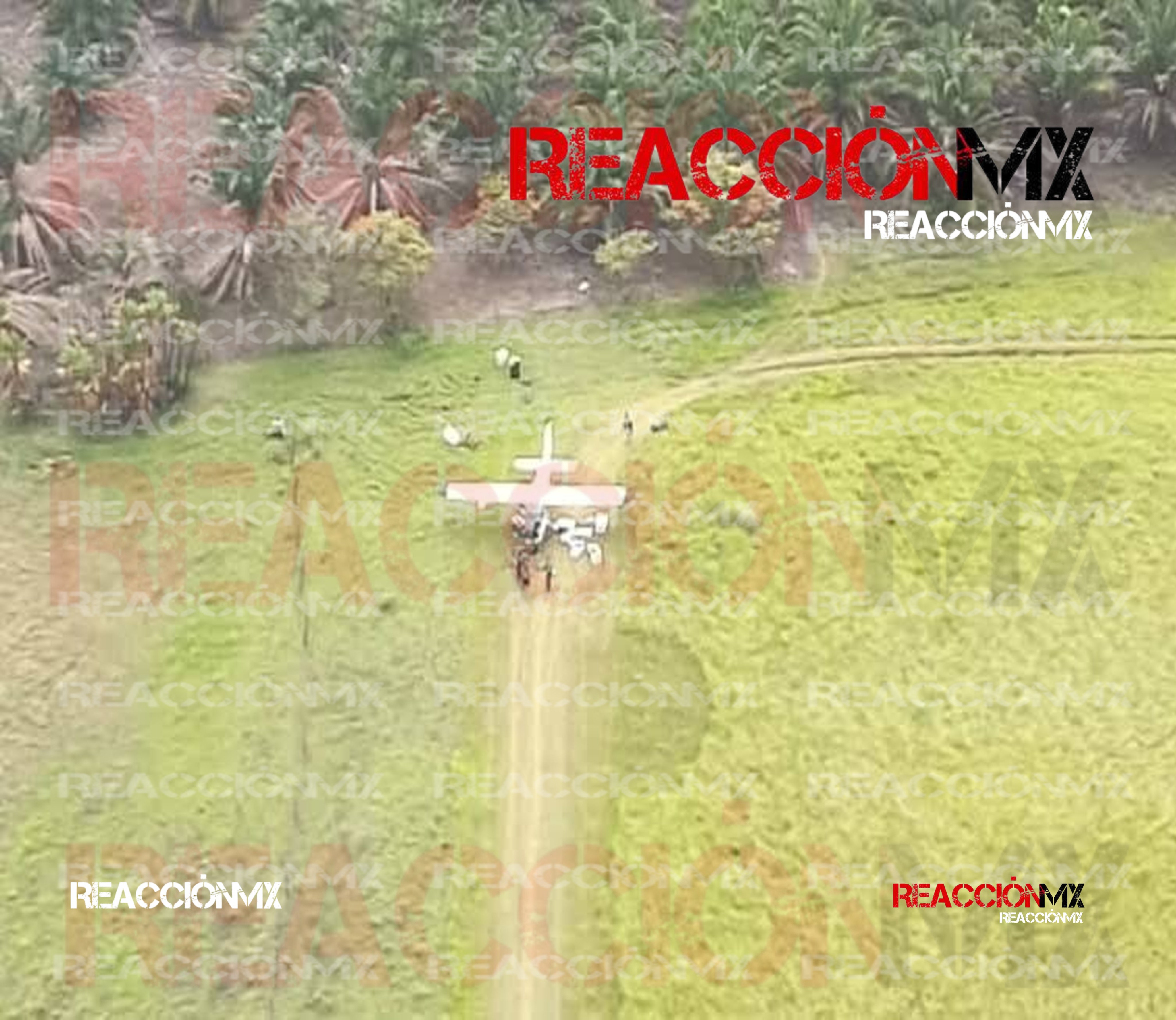 Aseguran narco avioneta en Balancán procedente de Guatemala.