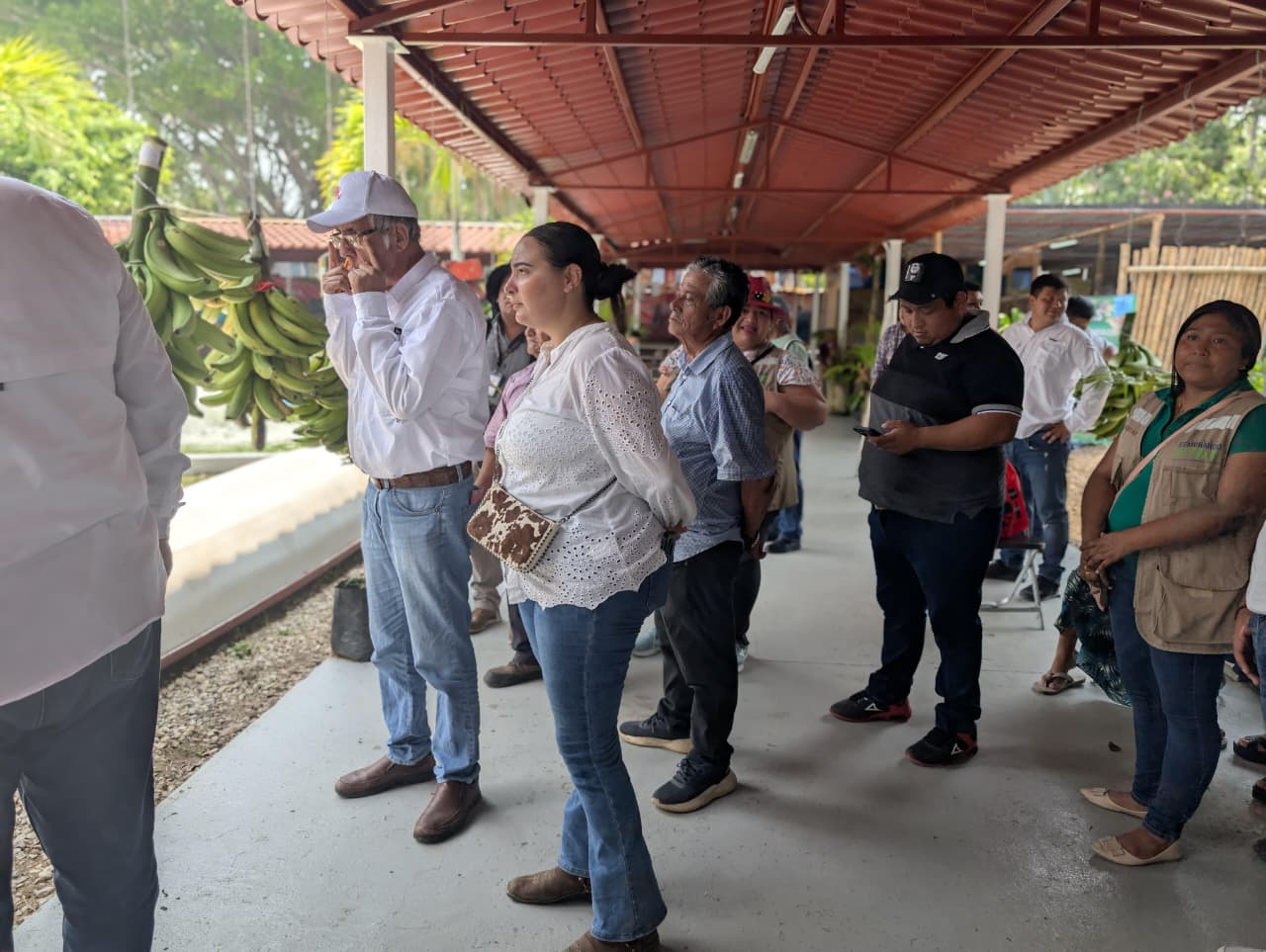 Productores tabasqueños brillan en la Feria 2026; SEDAP fortalece e impulsa al campo con concursos agrícolas.