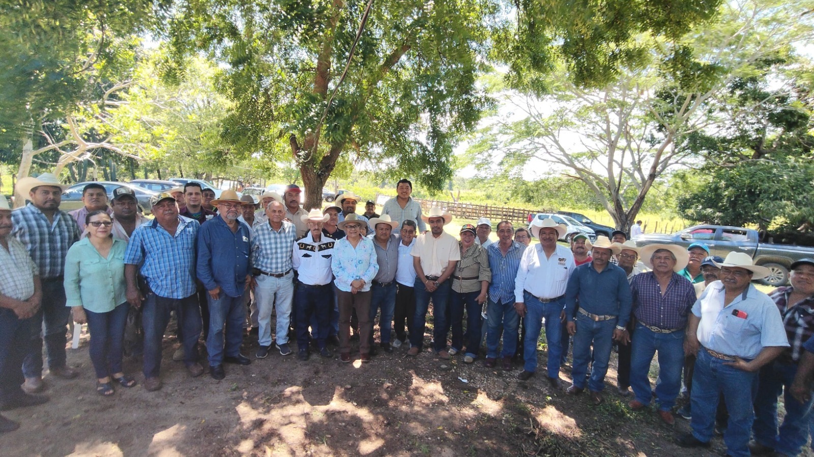 Arranca en Emiliano Zapata diagnóstico de gestación en ganado para fortalecer el hato ganadero en Tabasco.
