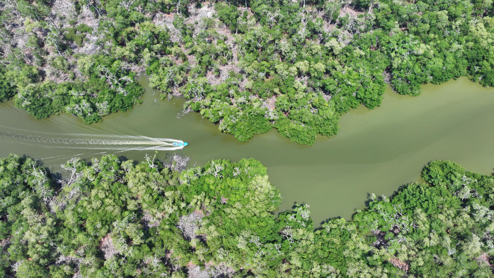 “Reserva Ecológica Cinco Lagunas” es oficialmente Área Natural Protegida de Jurisdicción Estatal; cumple Javier May otro compromiso ambiental.