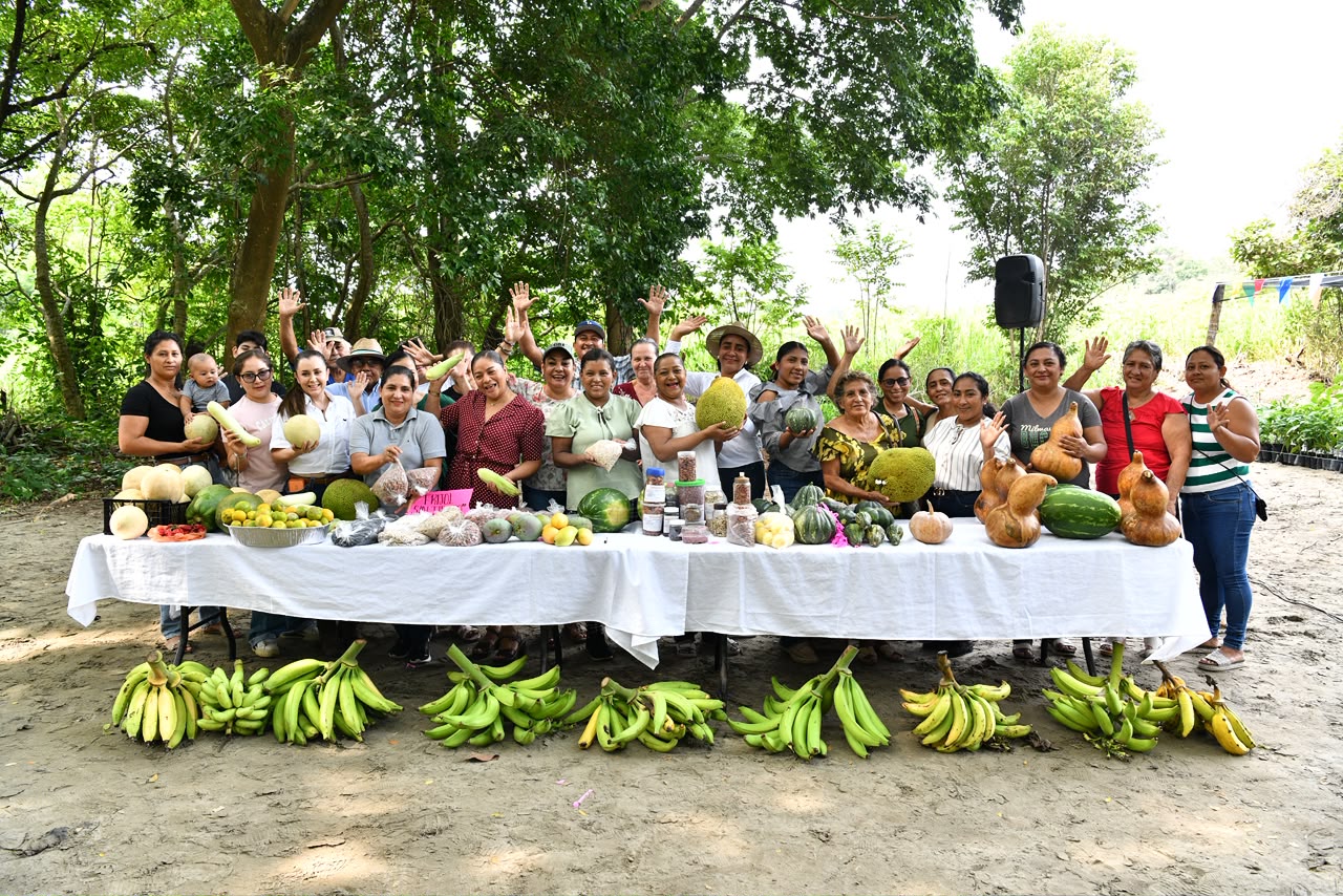 Sembrando Vida rescata al campo tabasqueño y fortalece economía familiar, destacan productores de Jalpa de Méndez