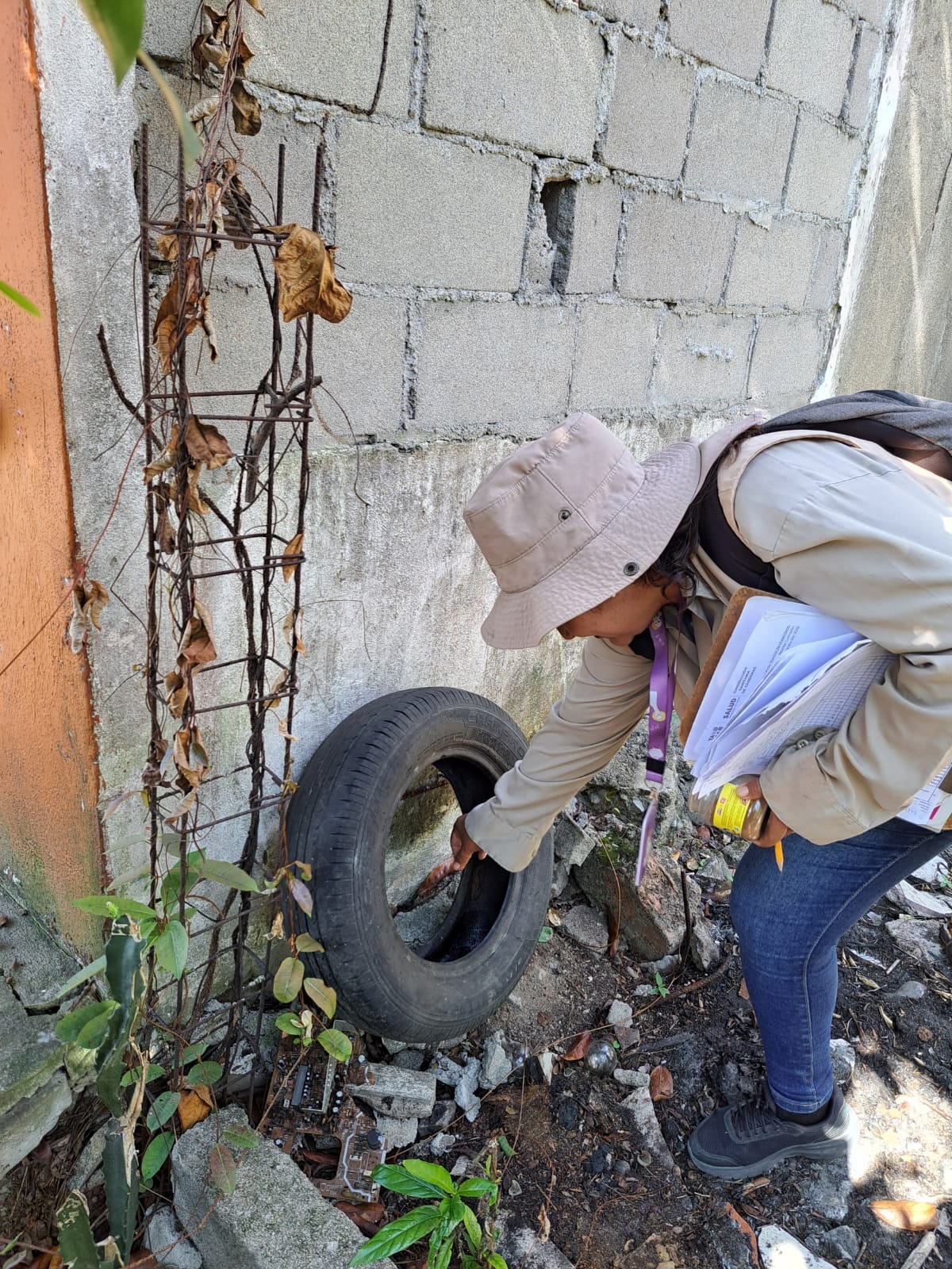 Necesario reforzar las medidas preventivas contra el dengue ante el inicio de las lluvias: Salud.