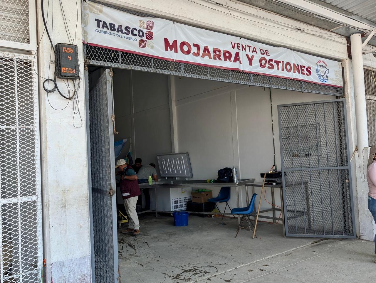 Respaldo de Javier May fortalece a Pescando Vida; proyectan venta de 8 toneladas de mojarra tilapia al mes en dos sedes: Guillermo Priego.
