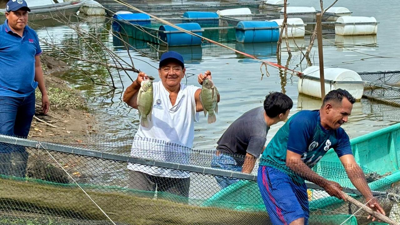 Crece la familia Pescando Vida: incorporarán a 500 nuevos beneficiarios y fortalecerán la producción de mojarra y ostión en Tabasco.