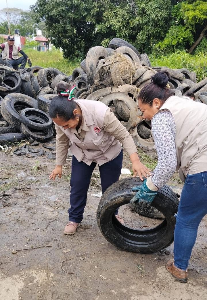 Salud y ayuntamientos reforzarán acciones preventivas contra el dengue con jornadas de descacharrización.