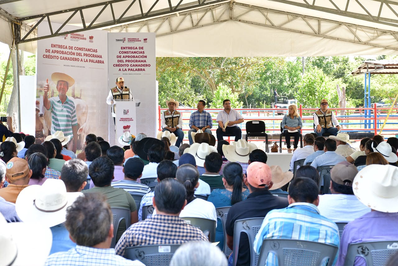 Entrega Javier May 3 mil novillonas y 300 sementales a pequeños productores del programa Crédito Ganadero a la Palabra.