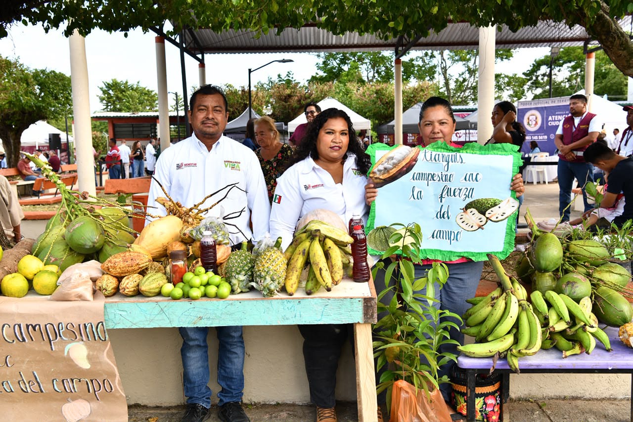 Campesinas reconocen que Sembrado Vida Tabasco les ha cambiado la vida; ahora no sólo cultivan para su mesa sino para obtener ingresos.
