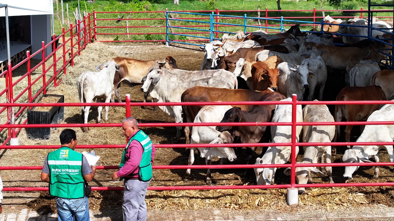 Crédito Ganadero a la Palabra reconoce la grandeza de las mujeres en los campos de Tabasco.